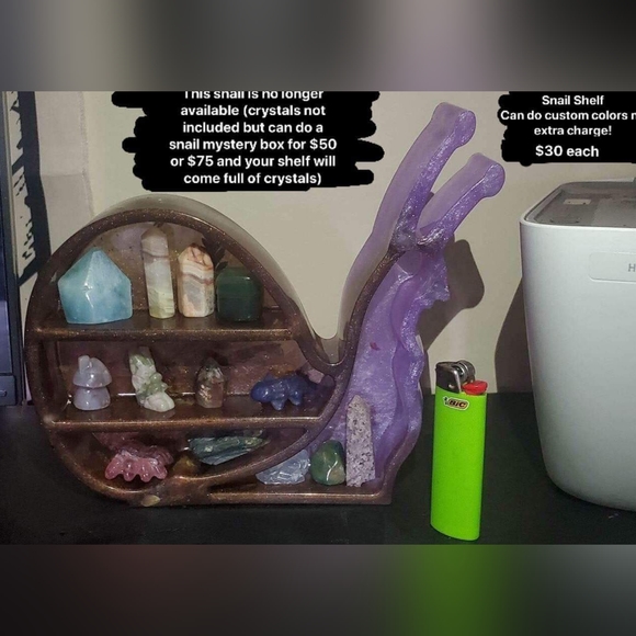 Snail shelf - Picture 2 of 2